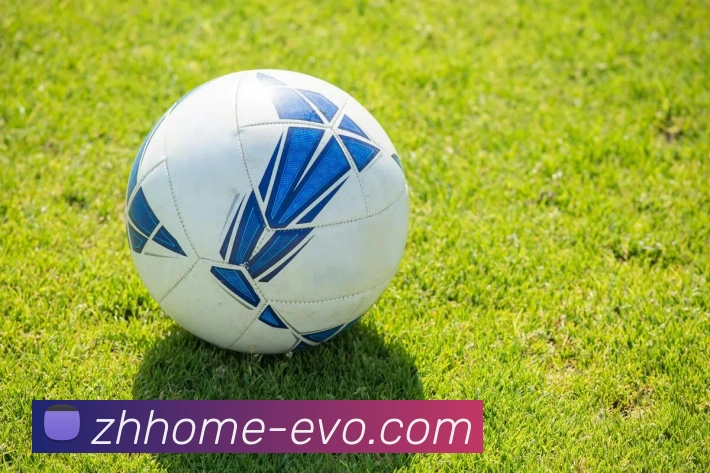 EVO真人官网平台生态图