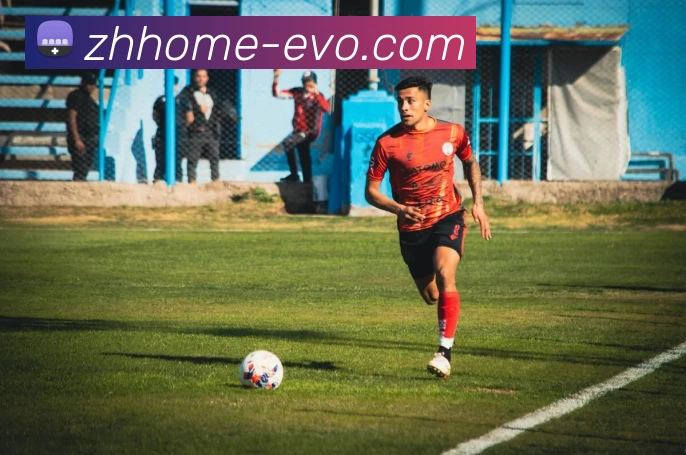 EVO真人官网全站App